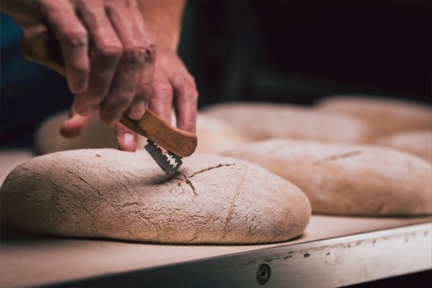 Kreis Höxter: 41 Bäckereien mit 1.560 Beschäftigten