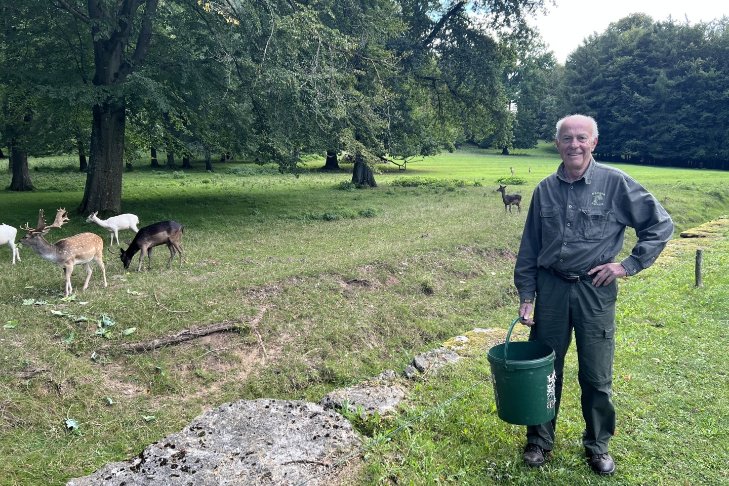 BUZ: Förster Josef Waldhoff hofft auch in diesem Jahr auf viele Eicheln und Kastanien für das Damwild im Wildgehege des Gräflichen Parks.