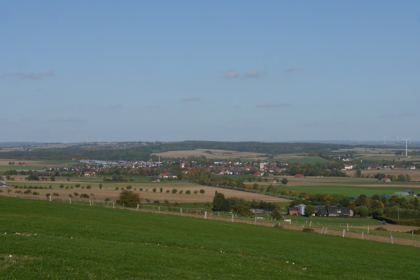 Foto: Blick oberhalb von Löwen Richtung Peckelsheim. Foto: Ludger Roters.